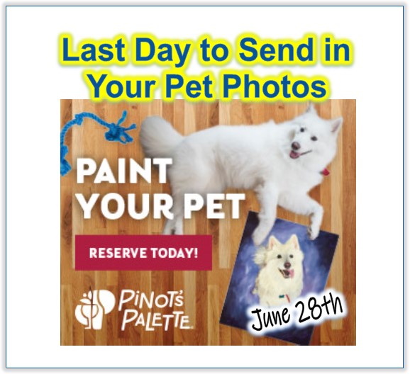 Last Day to Sign up for Project Pet